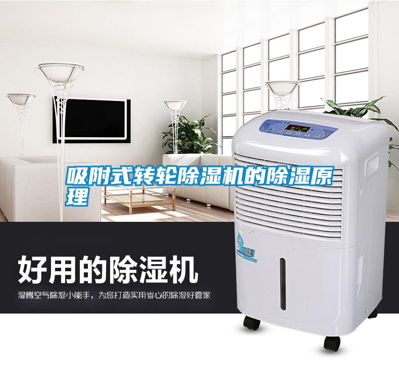 吸附式轉輪除濕機的除濕原理