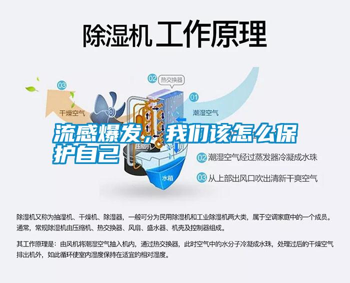 流感爆發(fā)，我們該怎么保護自己