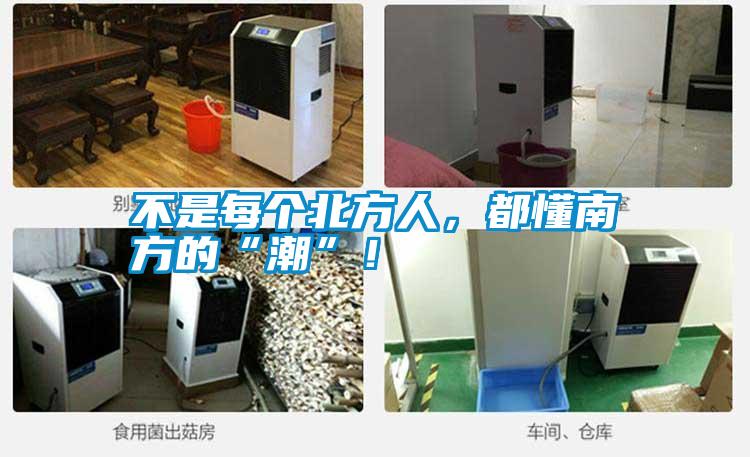 不是每個(gè)北方人，都懂南方的“潮”！