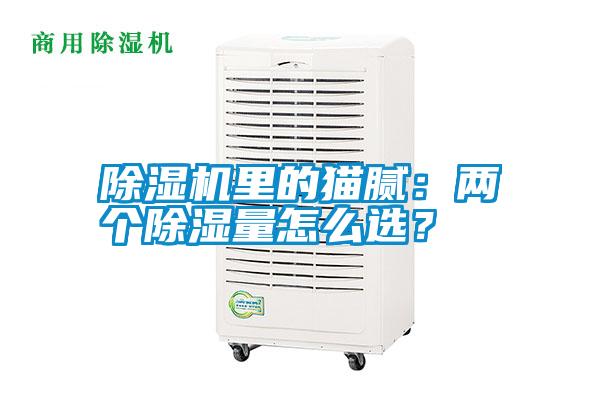 除濕機里的貓膩：兩個除濕量怎么選？