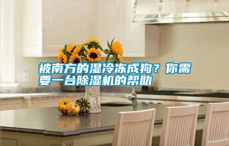 被南方的濕冷凍成狗？你需要一臺(tái)除濕機(jī)的幫助