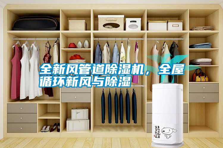 全新風(fēng)管道除濕機(jī)，全屋循環(huán)新風(fēng)與除濕