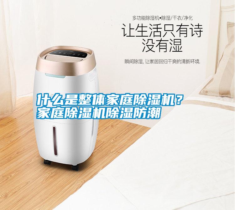 什么是整體家庭除濕機？ 家庭除濕機除濕防潮