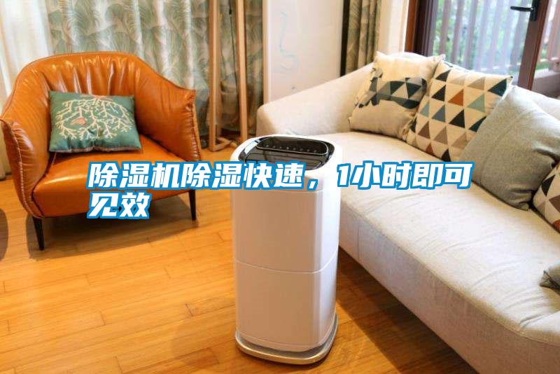 除濕機(jī)除濕快速，1小時(shí)即可見(jiàn)效