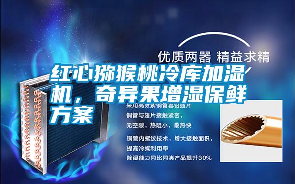 紅心獼猴桃冷庫(kù)加濕機(jī)，奇異果增濕保鮮方案