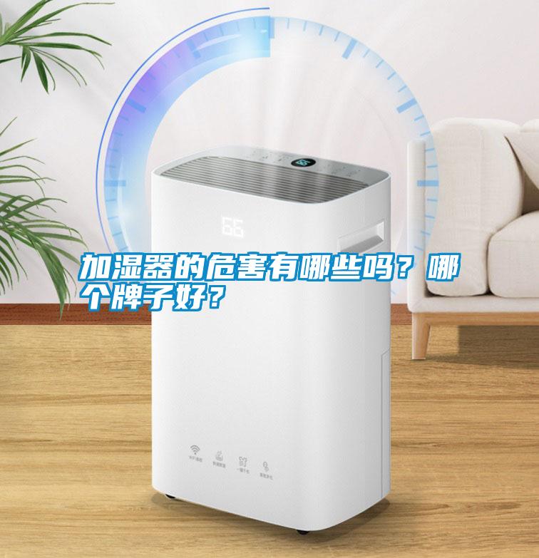 加濕器的危害有哪些嗎？哪個(gè)牌子好？