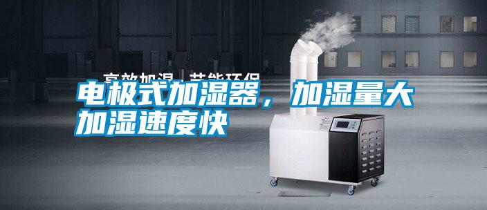電極式加濕器，加濕量大加濕速度快