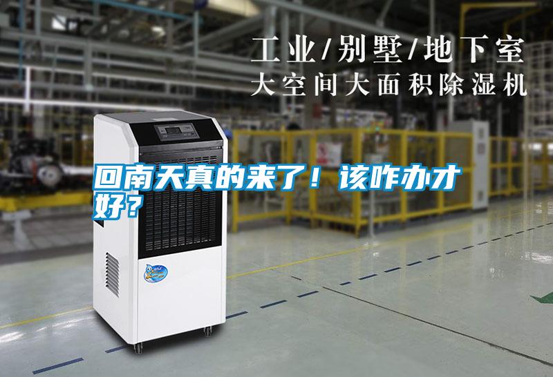 回南天真的來了！該咋辦才好？