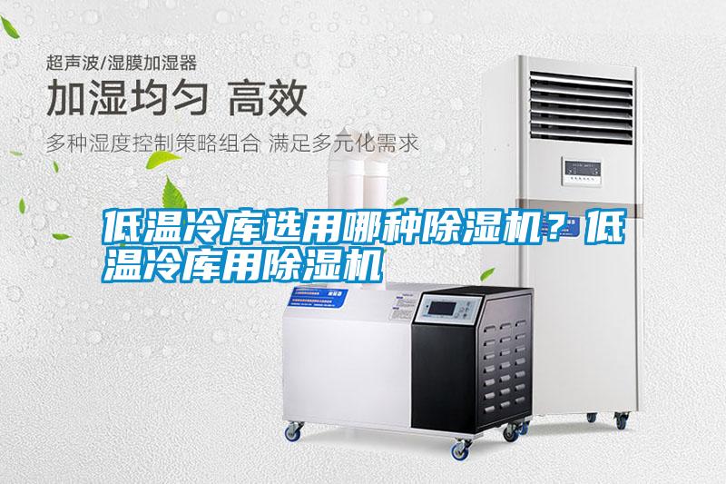 低溫冷庫選用哪種除濕機(jī)？低溫冷庫用除濕機(jī)