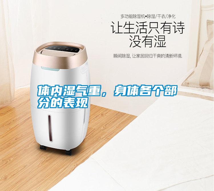 體內(nèi)濕氣重，身體各個部分的表現(xiàn)
