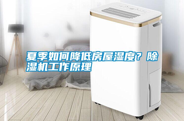 夏季如何降低房屋濕度？除濕機(jī)工作原理