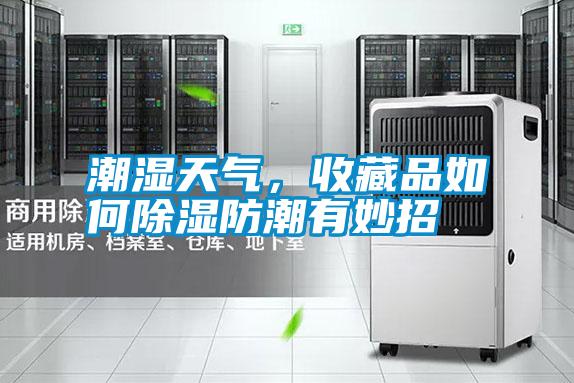 潮濕天氣，收藏品如何除濕防潮有妙招