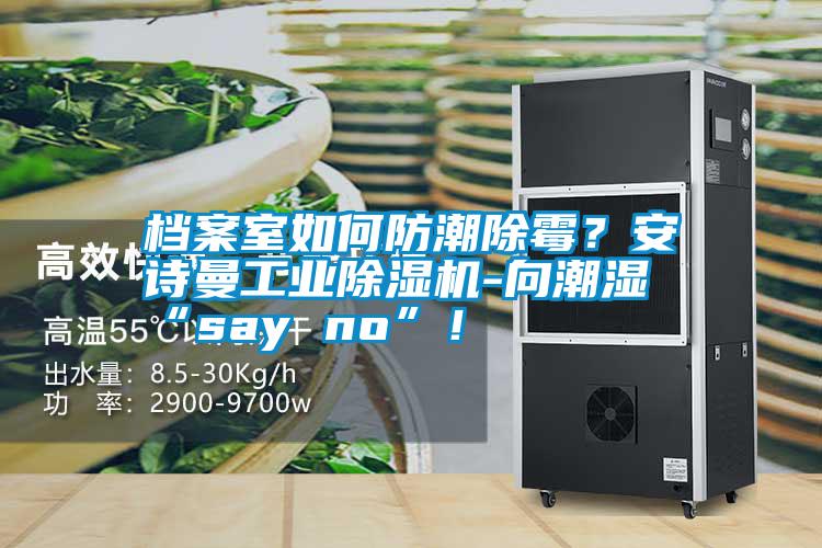 檔案室如何防潮除霉?安詩曼工業(yè)除濕機-向潮濕“say no”!