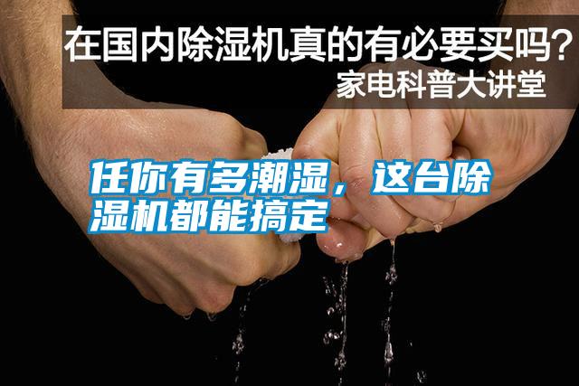 任你有多潮濕，這臺(tái)除濕機(jī)都能搞定