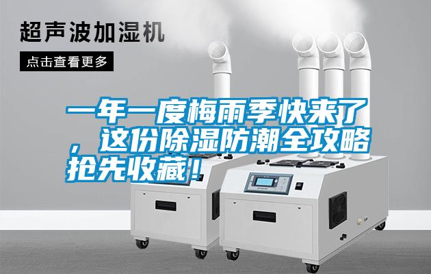 一年一度梅雨季快來了，這份除濕防潮全攻略搶先收藏！
