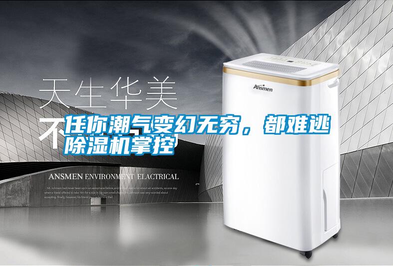 任你潮氣變幻無(wú)窮，都難逃除濕機(jī)掌控