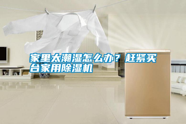 家里太潮濕怎么辦？趕緊買臺家用除濕機