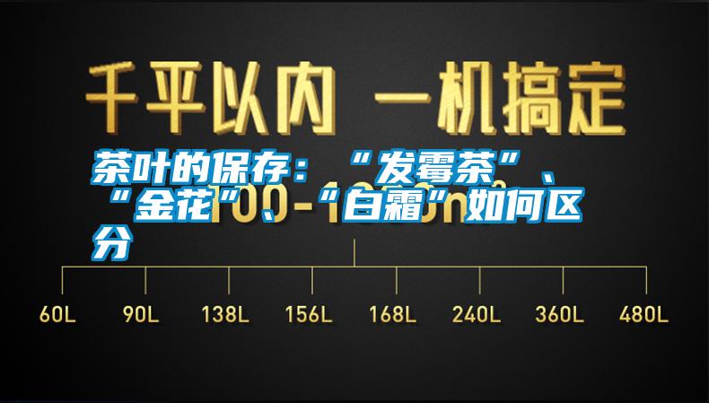 茶葉的保存：“發(fā)霉茶”、“金花”、“白霜”如何區(qū)分