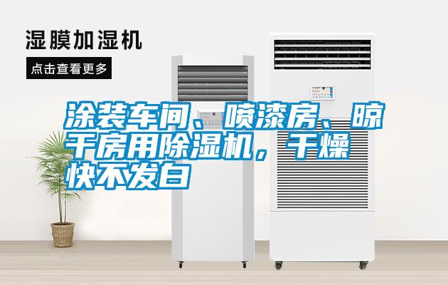 涂裝車間、噴漆房、晾干房用除濕機，干燥快不發(fā)白