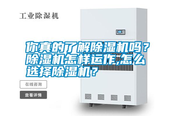 你真的了解除濕機(jī)嗎？除濕機(jī)怎樣運(yùn)作,怎么選擇除濕機(jī)？