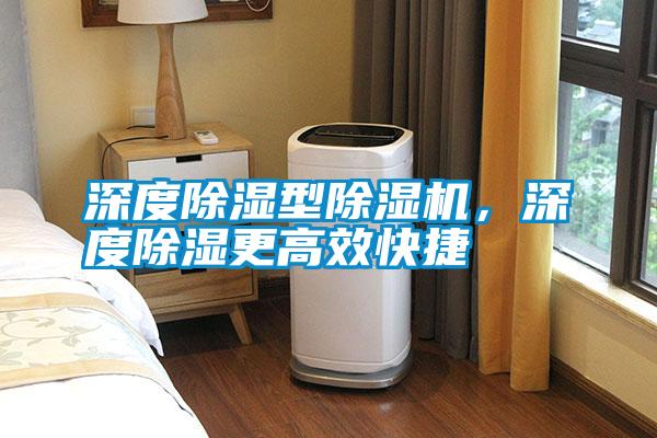 深度除濕型除濕機(jī)，深度除濕更高效快捷