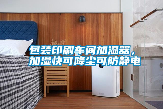 包裝印刷車間加濕器，加濕快可降塵可防靜電