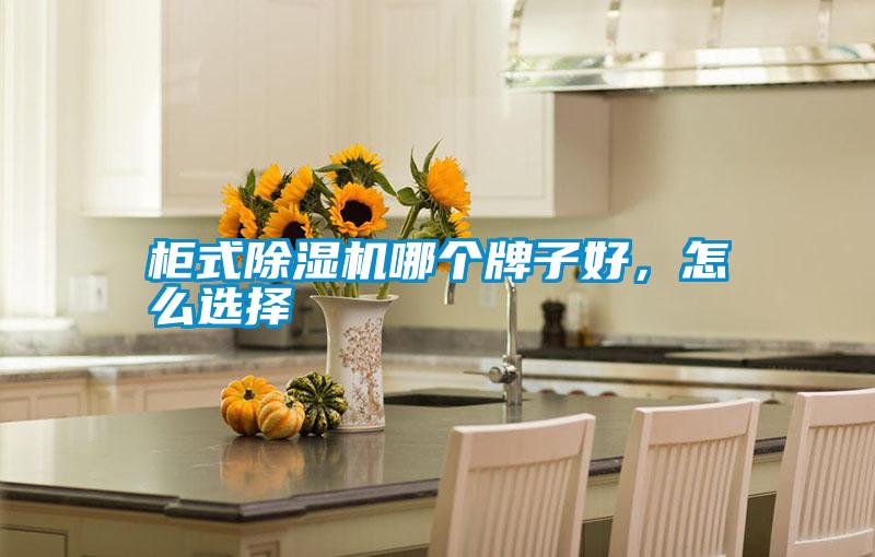 柜式除濕機哪個牌子好，怎么選擇