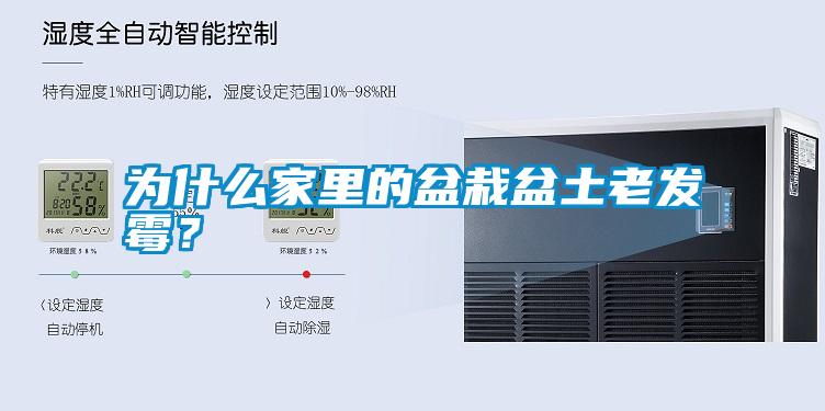為什么家里的盆栽盆土老發(fā)霉？