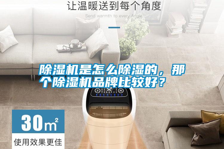 除濕機是怎么除濕的，那個除濕機品牌比較好？
