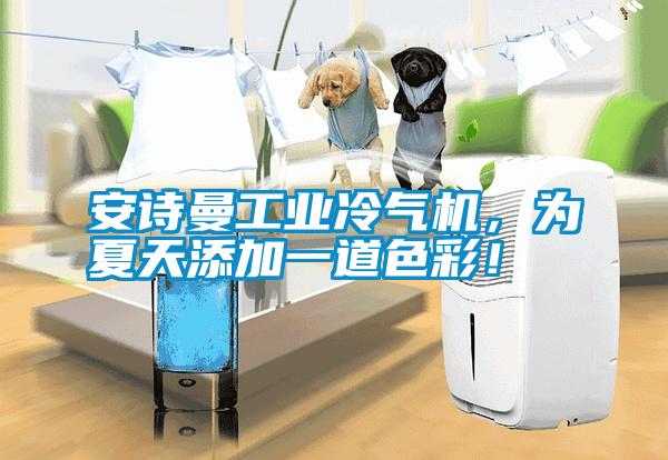 安詩曼工業(yè)冷氣機，為夏天添加一道色彩！