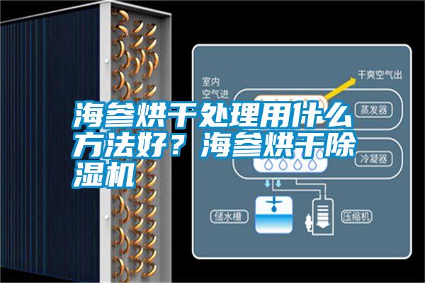 海參烘干處理用什么方法好？海參烘干除濕機(jī)