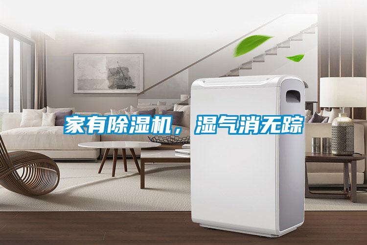家有除濕機(jī)，濕氣消無蹤
