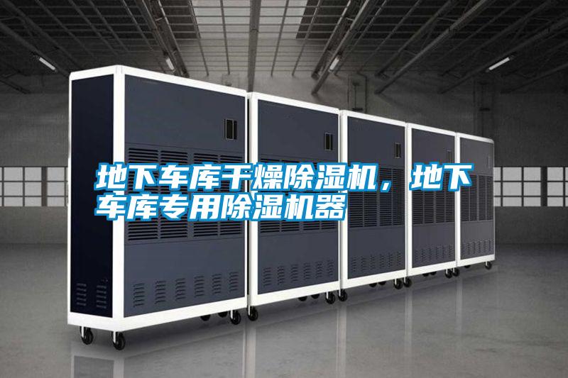 地下車(chē)庫(kù)干燥除濕機(jī)，地下車(chē)庫(kù)專(zhuān)用除濕機(jī)器