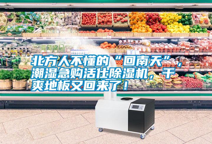 北方人不懂的“回南天”，潮濕急購活仕除濕機(jī)，干爽地板又回來了！
