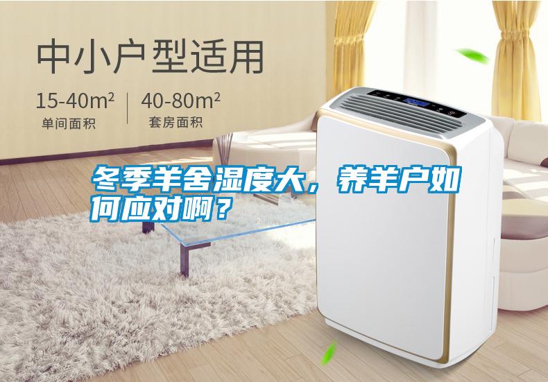 冬季羊舍濕度大，養(yǎng)羊戶如何應(yīng)對(duì)??？