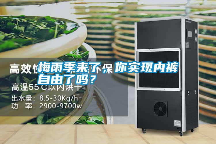 梅雨季來了，你實現(xiàn)內(nèi)褲自由了嗎？