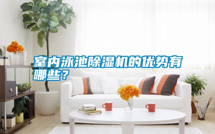 室內(nèi)泳池除濕機(jī)的優(yōu)勢有哪些？