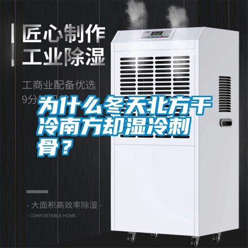 為什么冬天北方干冷南方卻濕冷刺骨？