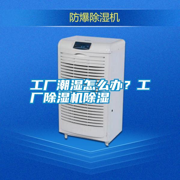 工廠潮濕怎么辦？工廠除濕機(jī)除濕