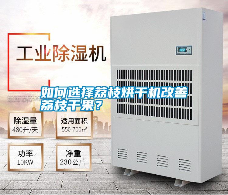 如何選擇荔枝烘干機改善荔枝干果？