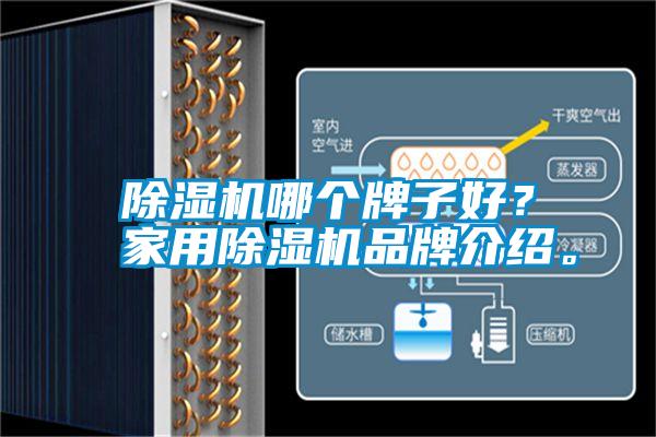 除濕機(jī)哪個(gè)牌子好？家用除濕機(jī)品牌介紹。