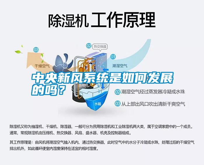 中央新風(fēng)系統(tǒng)是如何發(fā)展的嗎？