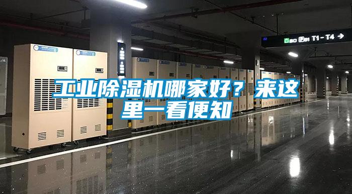 工業(yè)除濕機(jī)哪家好？來這里一看便知