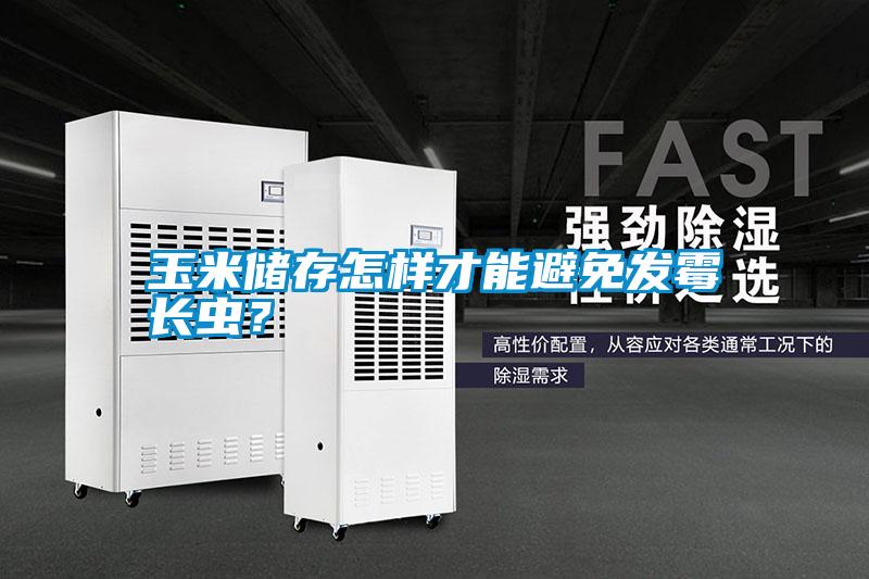 玉米儲存怎樣才能避免發(fā)霉長蟲？