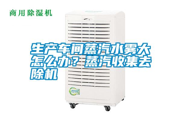 生產(chǎn)車間蒸汽水霧大怎么辦？蒸汽收集去除機(jī)