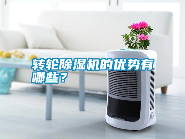 轉(zhuǎn)輪除濕機(jī)的優(yōu)勢(shì)有哪些？