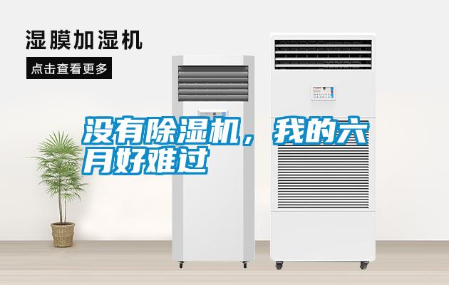 沒有除濕機(jī)，我的六月好難過