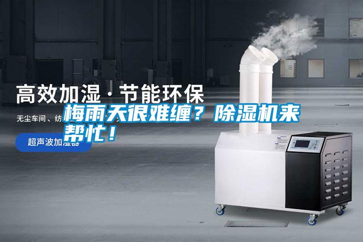 梅雨天很難纏？除濕機(jī)來幫忙！
