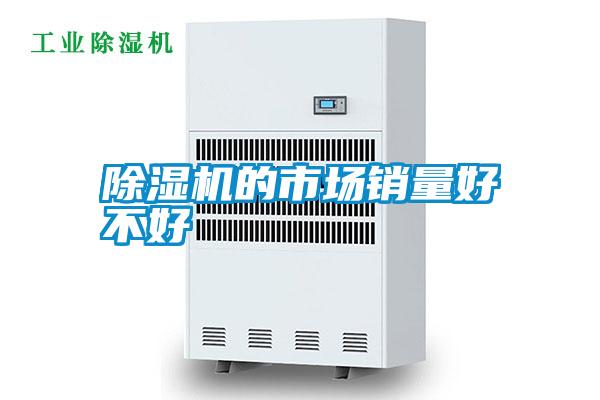除濕機(jī)的市場(chǎng)銷(xiāo)量好不好
