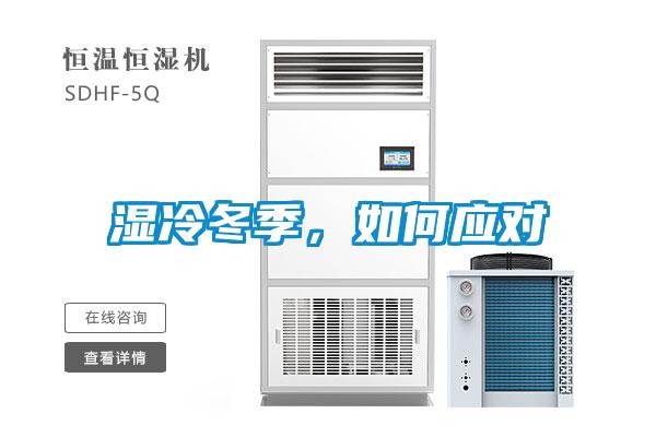 濕冷冬季，如何應對